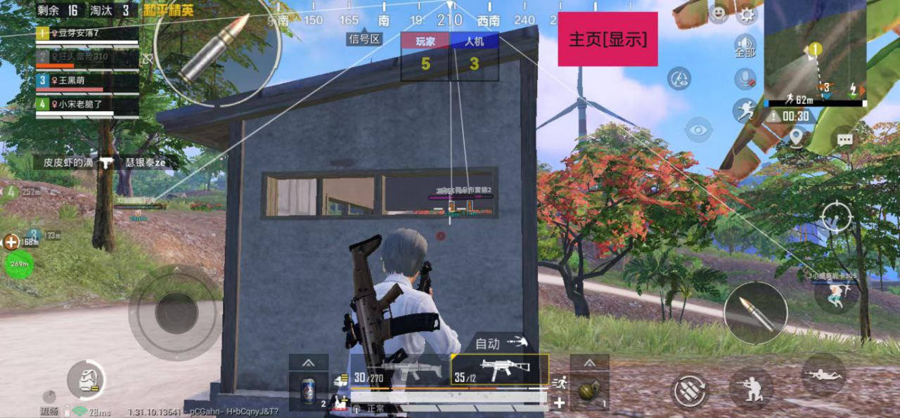 和平精英【逍遥】辅助