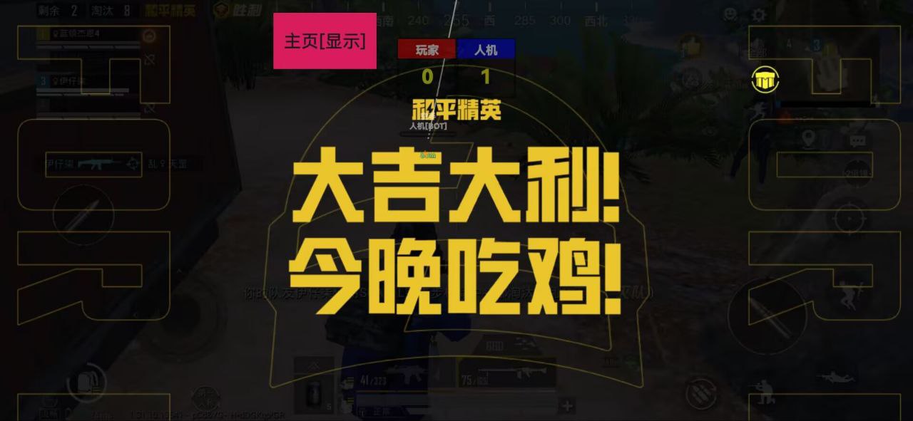和平精英内核【Studio】辅助透视自瞄